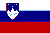 Flagge_slowenien